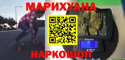 индика Можайск
