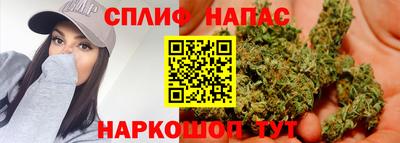 индика Можайск