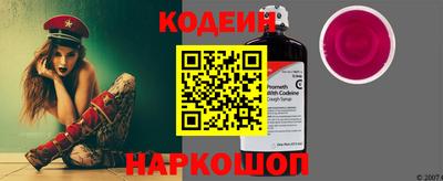 индика Можайск