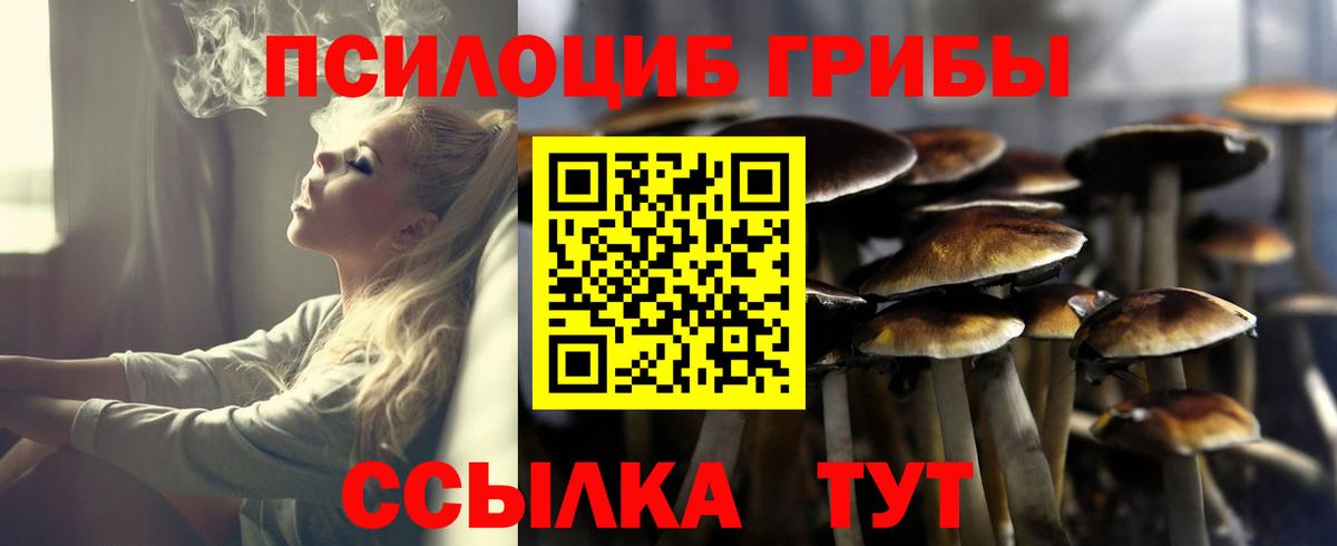 Псилоцибиновые грибы Psilocybine cubensis  как найти закладки  Тимашёвск  Псилоцибиновые грибы GOLDEN TEACHER  Вход с VPN 